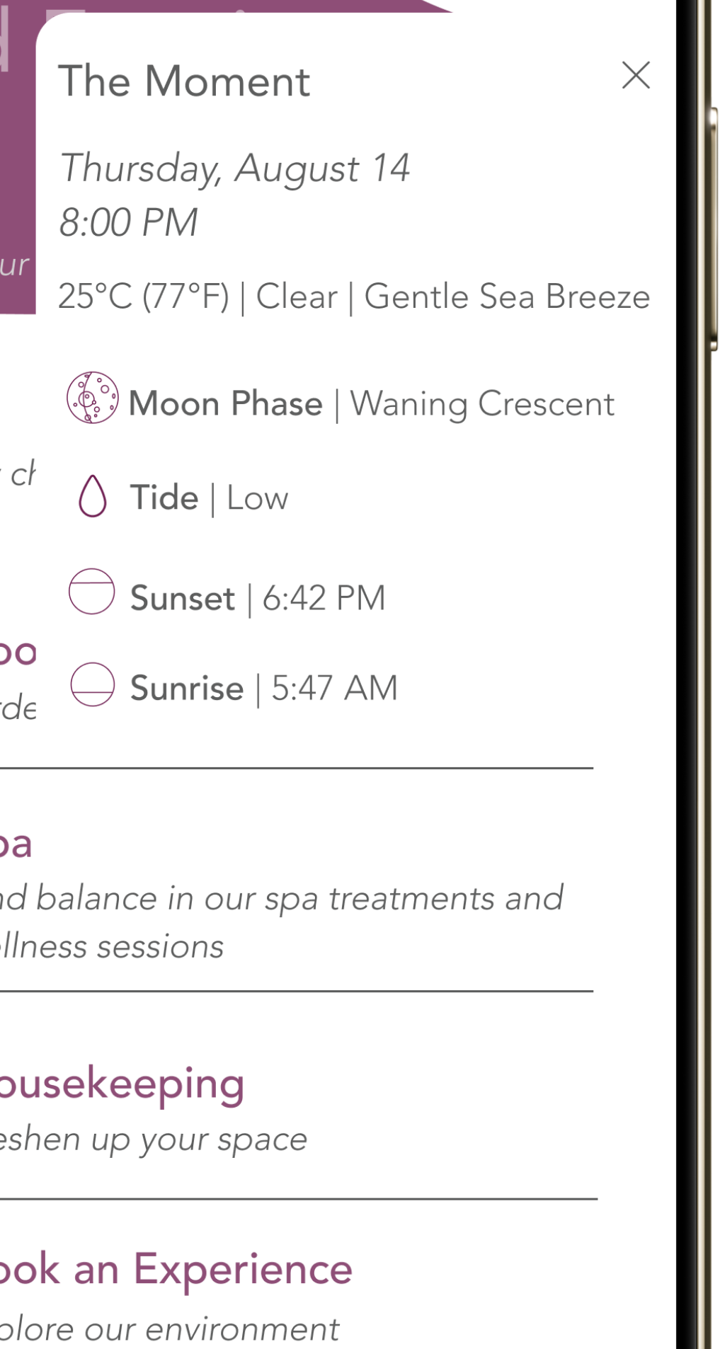 Six Senses dashboard showing The Moment card: tonight's weather, moon phase, tide, sunset and sunrise times.